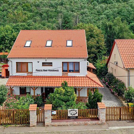 Fekete Rigó Vendégház Egerszalók Exterior foto