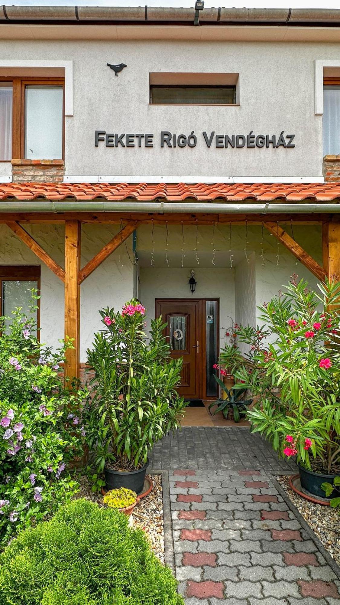 Fekete Rigó Vendégház Egerszalók Exterior foto